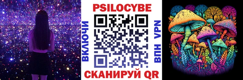 Галлюциногенные грибы ЛСД  где купить наркоту  shop клад  Терек 